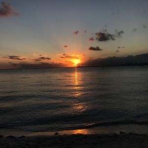 Meet your Posher, Sofia